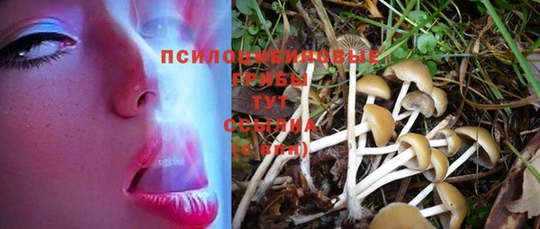 молекула духа Абаза
