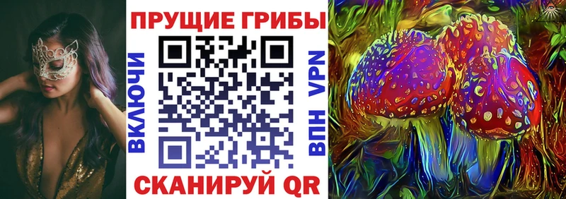 цена наркотик  Николаевск-на-Амуре  сайты даркнета как зайти  Галлюциногенные грибы Psilocybine cubensis 